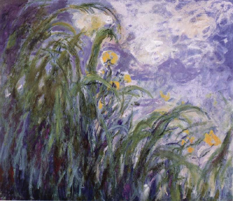 Yellow Irises, Claude Monet